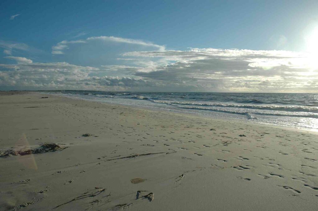 Saint Simons Island Vacation Rentals Covenant Property Management