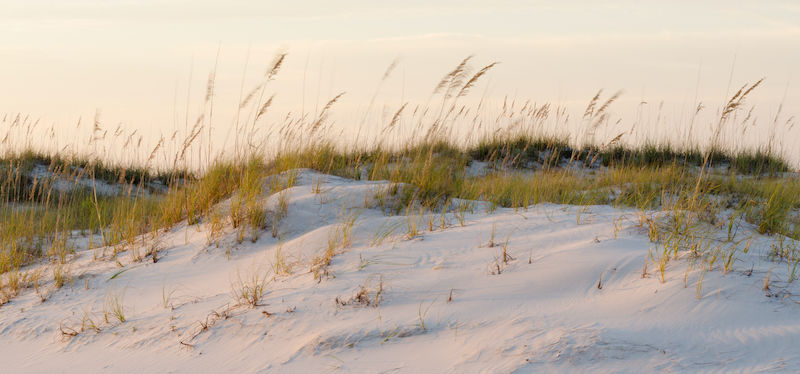 image of Gulf Coast beach