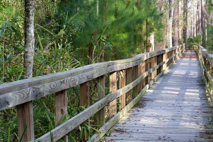 Things to do in Fall in Gulf Shores & Orange Beach