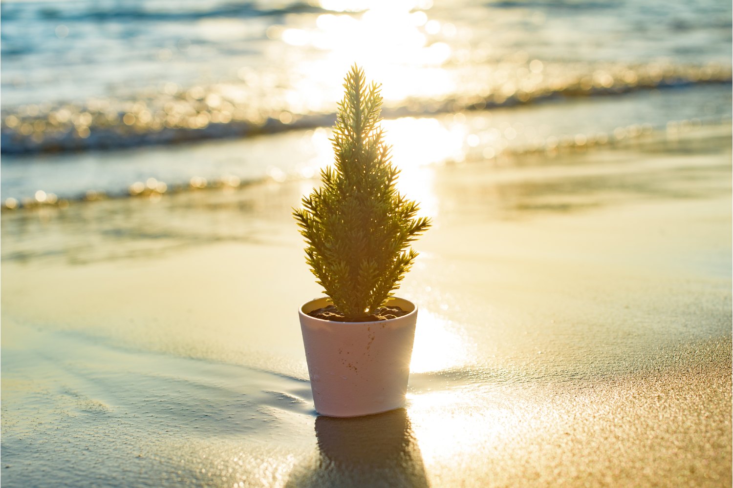 Witness the magic happening in the sand! 😮 With this mesmerizing kine