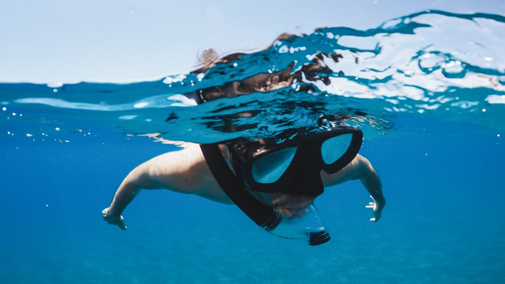Snorkeling and Diving in the Gulf of Mexico, one of the best things to do in Gulf Shores, Al.