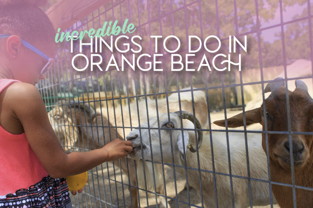 Things to Do in Orange Beach AL Hero