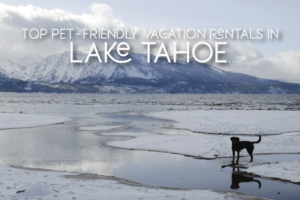 Top Lake Tahoe Pet-Friendly Rentals