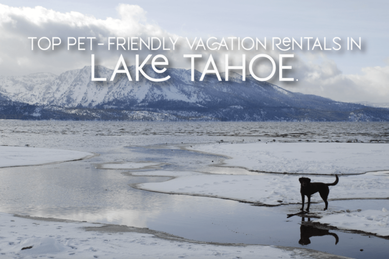 Looking for a petfriendly vacation rental in Lake Tahoe?