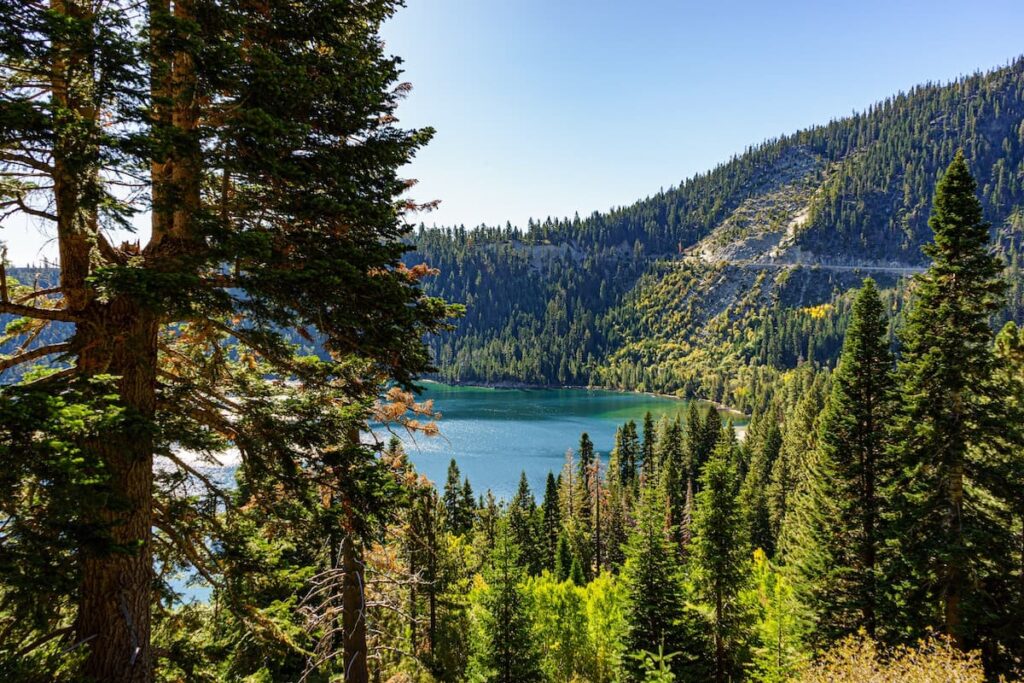 View of Lake Tahoe surrounded by green trees