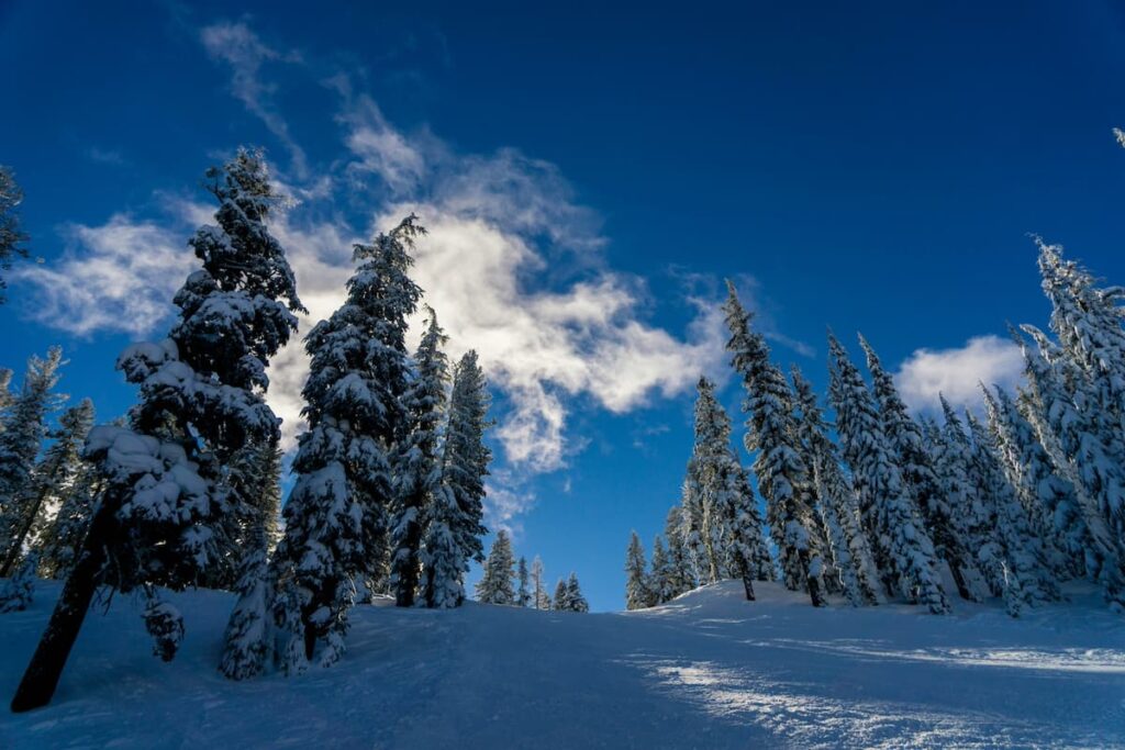 Blue skies with some cloud above snow covered trees Northstar Resort