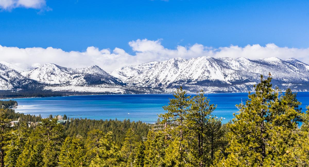 Aerial view of Lake Tahoe with its striking blue waters against a backdrop of snow-capped mountains and lush green pine trees under a clear blue sky, capturing the beauty of a sunny day.
