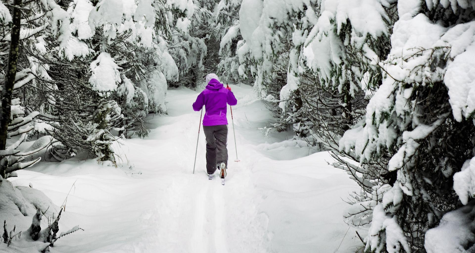 Cross Country Skiing