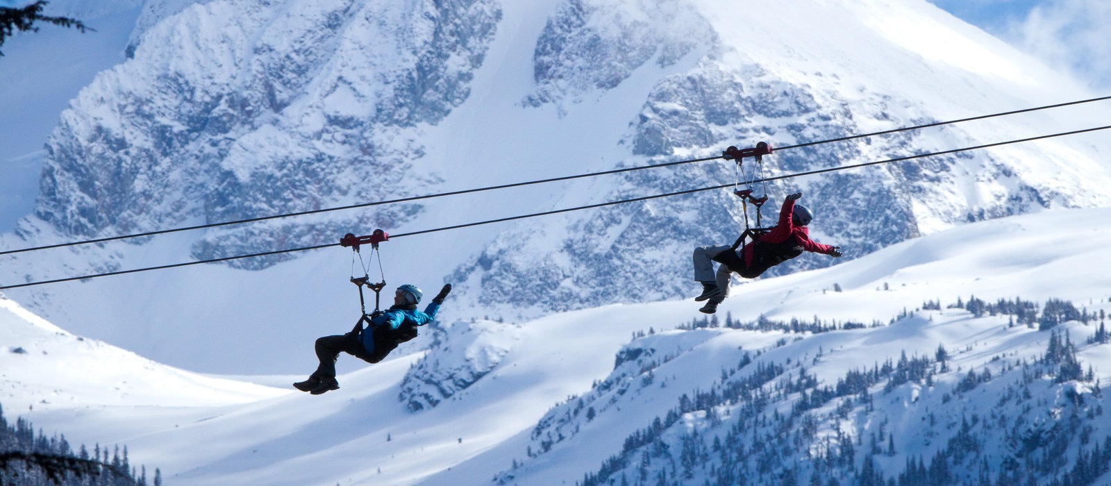 Ziplining Winter