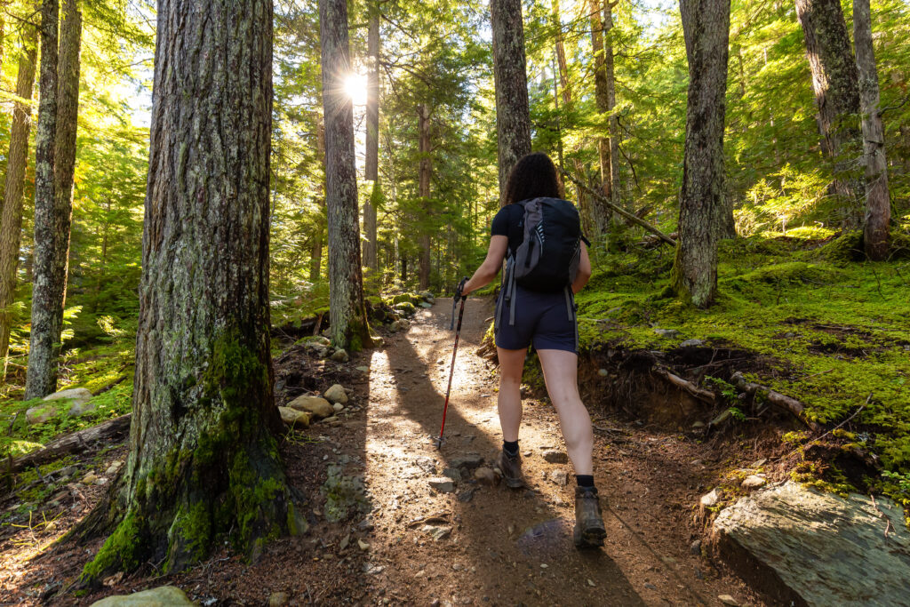 Easy hiking trails