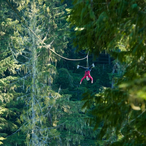 Zipline Tours in Whistler