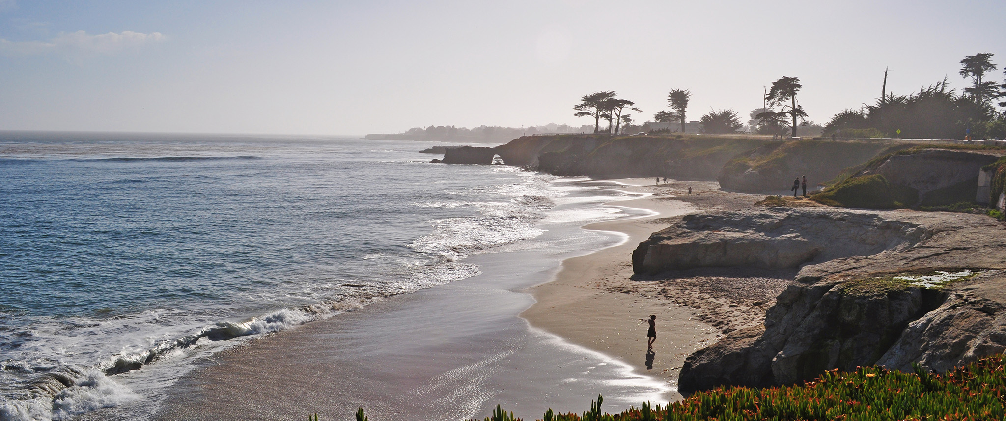 The Absolute Best Time to Visit Santa Cruz - Beachnest Vacation Rentals