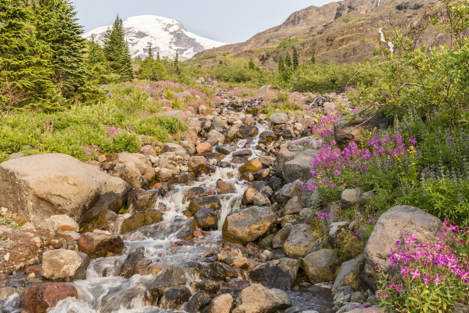 Mt Baker Tourism Info | Trails, Hikes and Recreation Areas