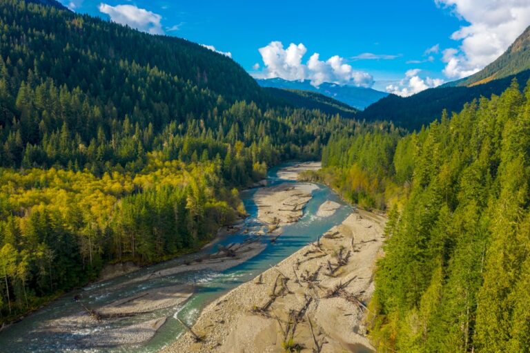 A Visitor's Guide To The Nooksack River