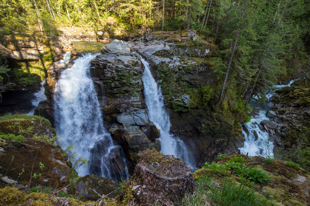 visit mt baker