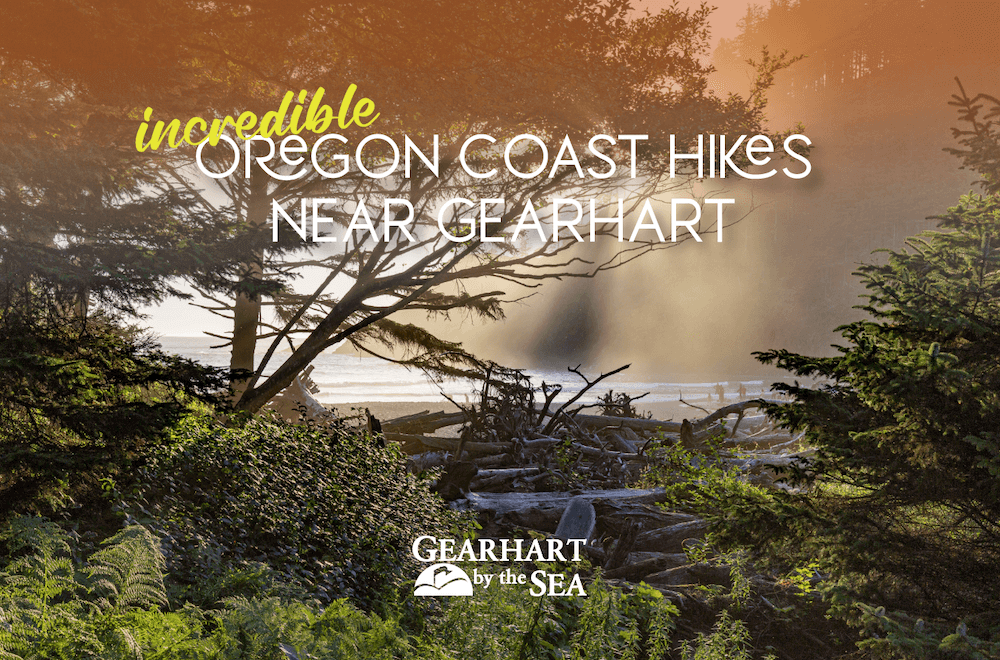 Oregon Coast Hikes Hero