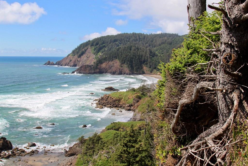 Oregon Coast Hikes - Ecola State Park to Indian Beach Trail