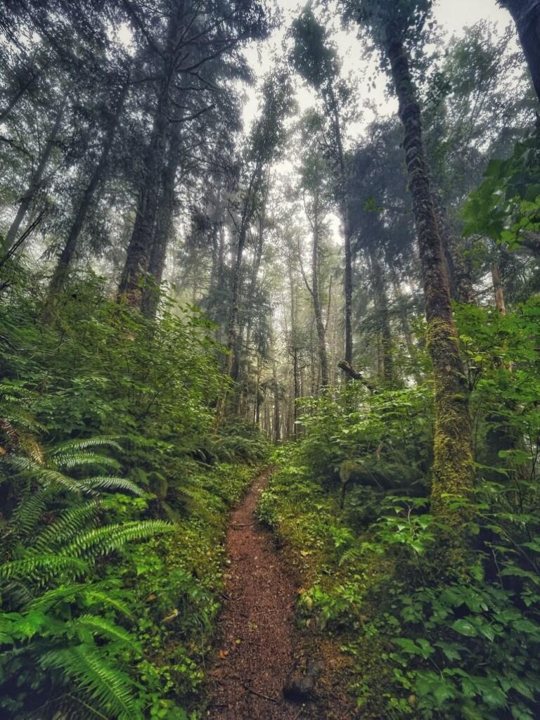 Oregon Coast Hikes - Tillamook Head Traverse Hike