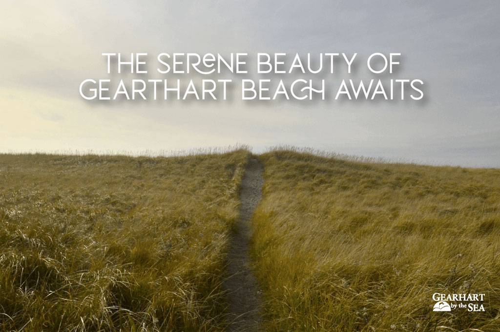 Serene Beauty of Gearhart Beach