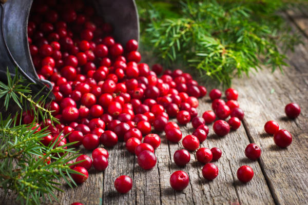 Berries at Gearhart Oregon