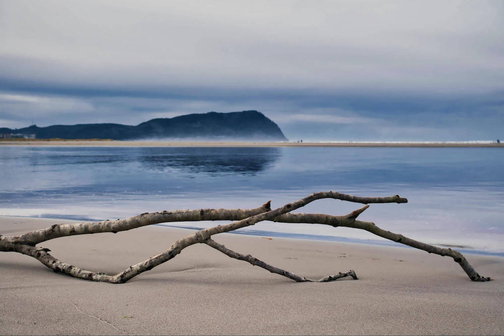 beach side on Gearhart beach