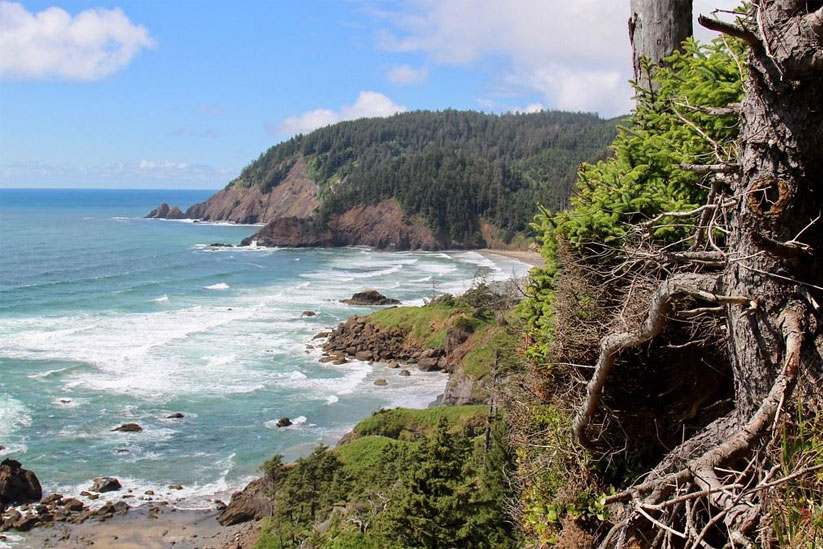 Ecola State Park to Indian Beach Trail