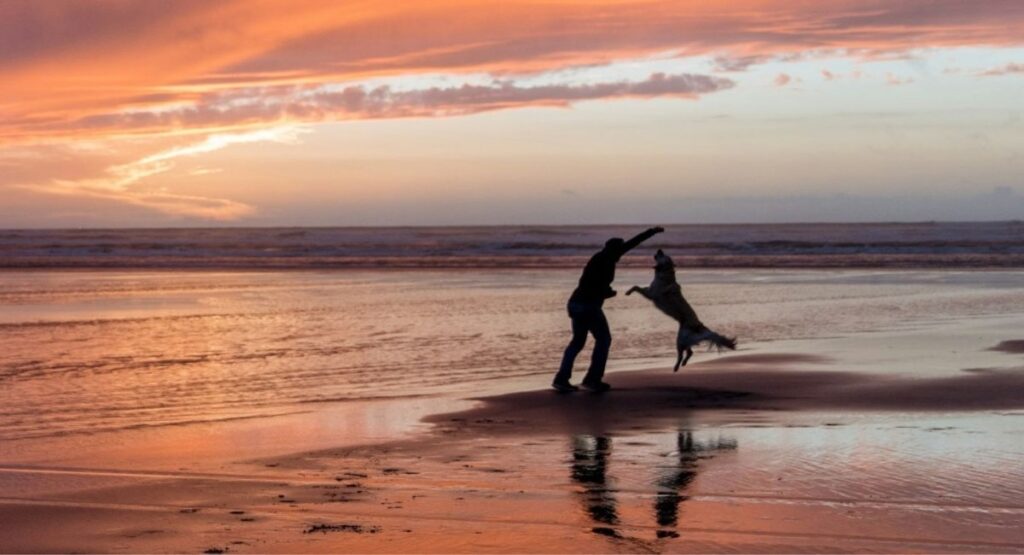 A person plays with a dog on the wet sand at Gearhart Beach during a vivid orange and pink sunset