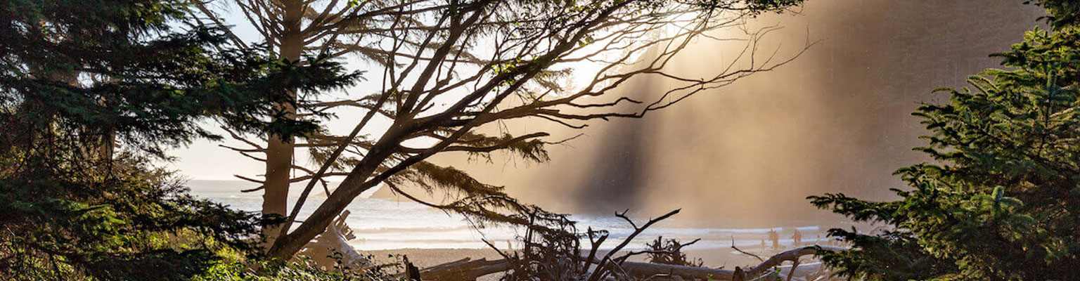 Oregon Coast Hikes