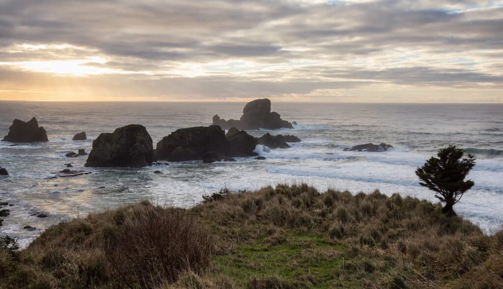 Pacific Ocean from the Oregon Coast