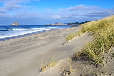 A view of Bob Straub State Park, an incredible coastal walk spot