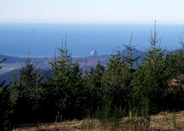 Mt Hebo from Pacific City