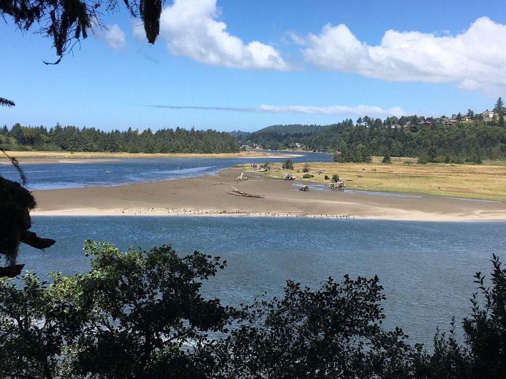 Oregon Coast Hikes Near Pacific City