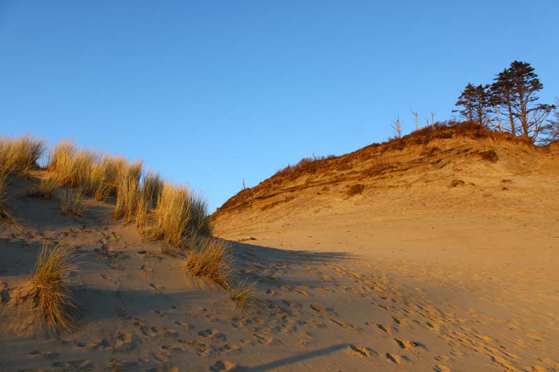 Cape Kiwanda