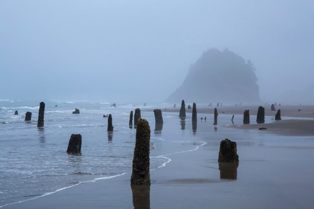 The Neskowin Ghost Forest is a hauntingly beautiful natural phenomenon