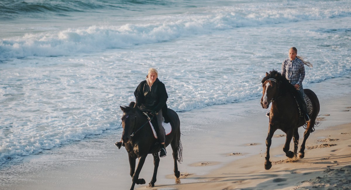 Two people horseback riding on the beach at sunset, with the waves gently lapping at the shore, creating a serene and picturesque equestrian scene.