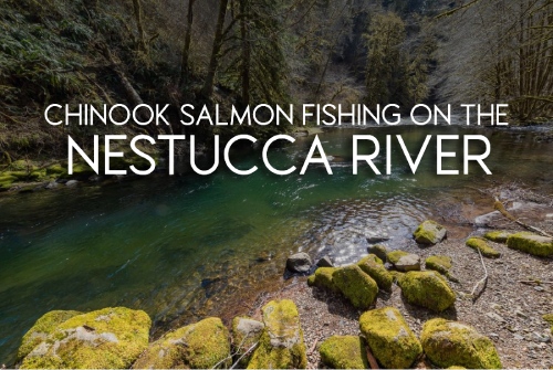 Chinook Salmon Fishing on the Nestucca River Guide