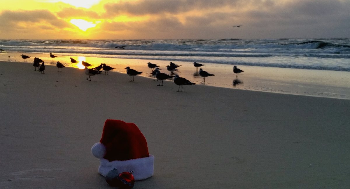 Santa hat on the sandy beach at sunset with seagulls in Pacific City, Oregon, during the Christmas season.