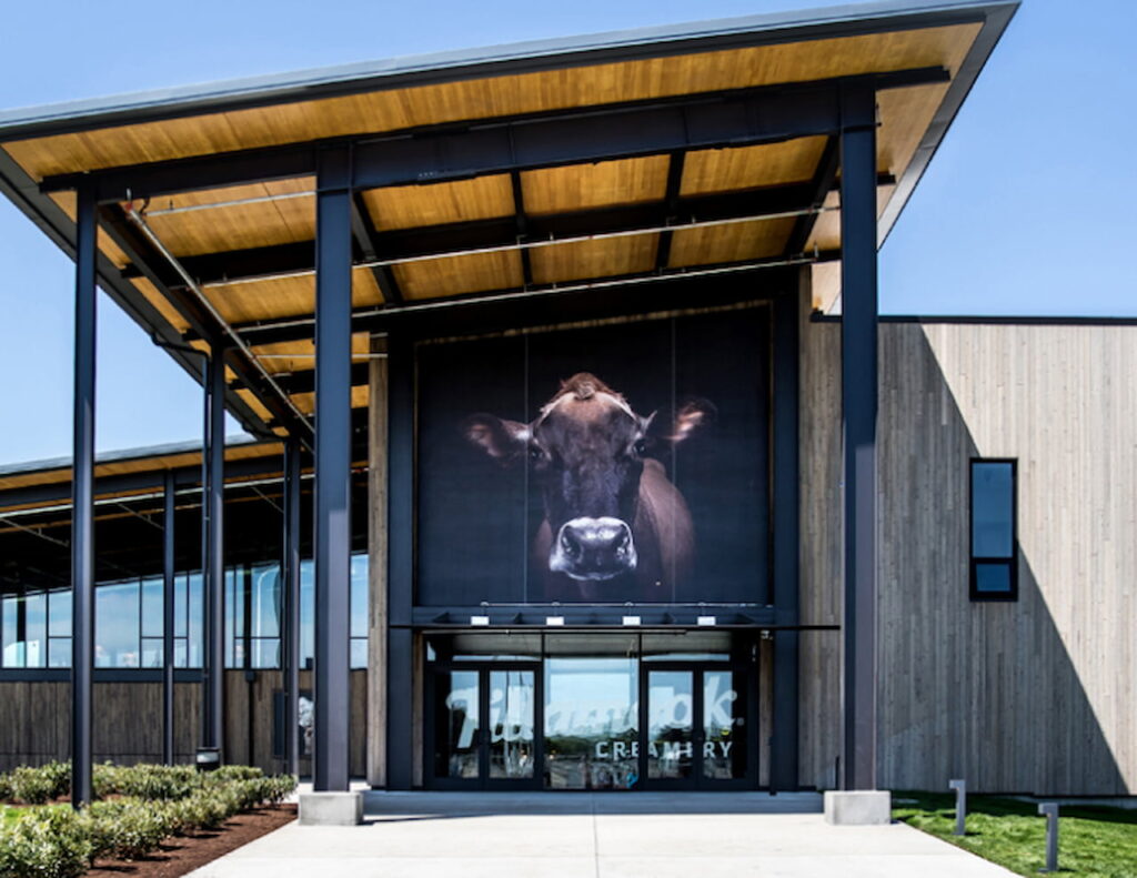 Tillamook Creamery: A Cheese Lover's Paradise