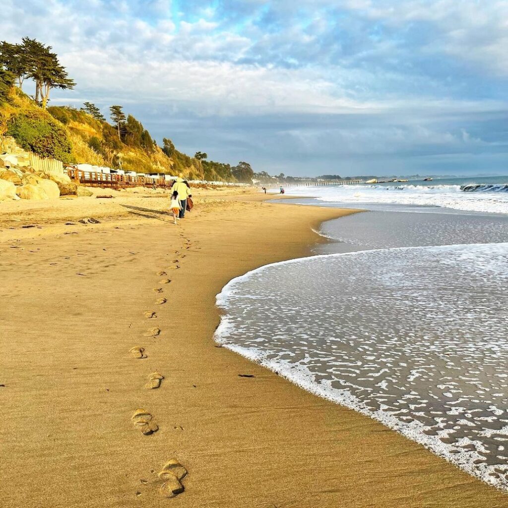 20 Awesome Santa Cruz Beaches to Enjoy the Sun, Surf, and Sand