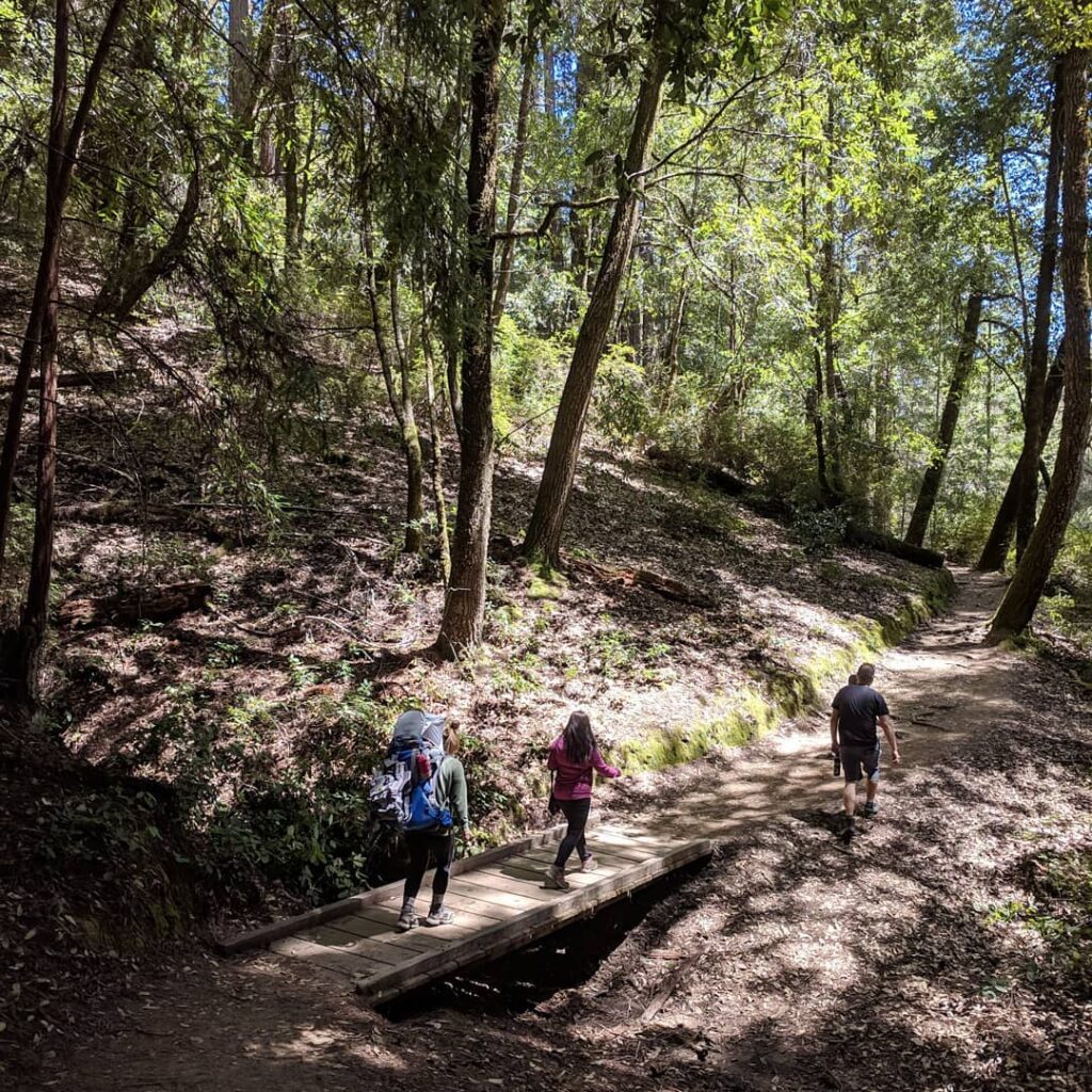 Santa Cruz Hiking Trails Guide Beachnest Vacation Rentals