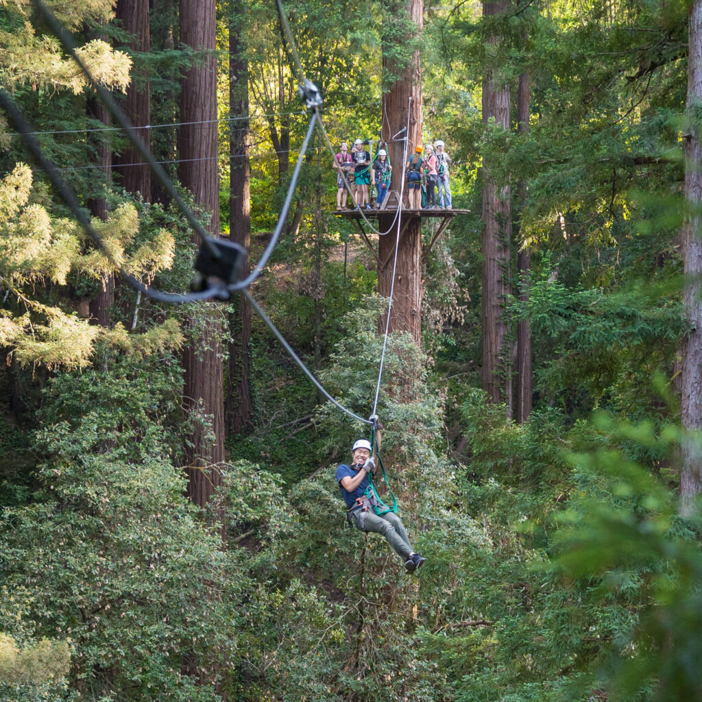 Zip Lining Santa Cruz Tours to Check Out Beachnest Vacation Rentals