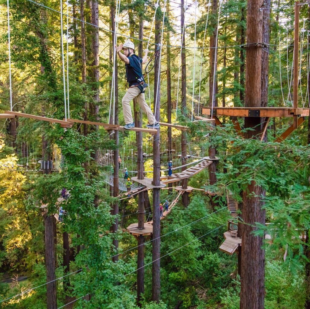 Zip Lining Santa Cruz Tours to Check Out Beachnest Vacation Rentals