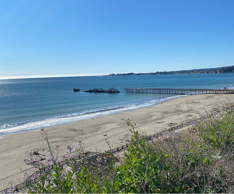 Your Guide to the Best Beaches in Aptos Beachnest Vacation Rentals