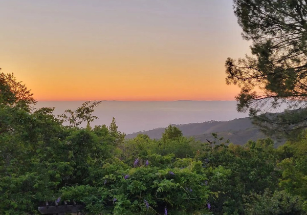 Your Guide to the Santa Cruz Mountains Beachnest Vacation Rentals