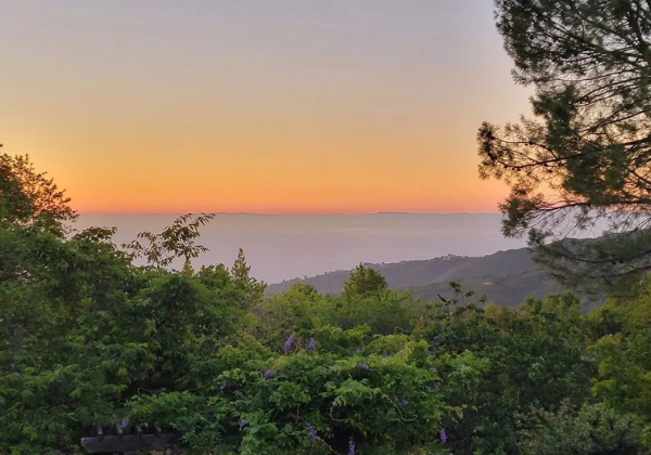 Your Guide To The Santa Cruz Mountains Beachnest Vacation Rentals