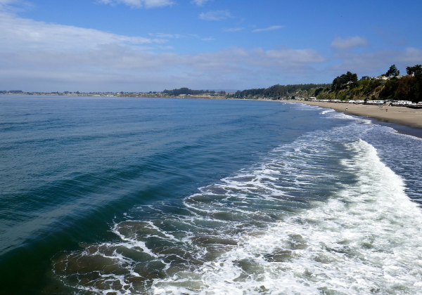 Top 10 Things to do in Aptos California Beachnest Vacation Rentals