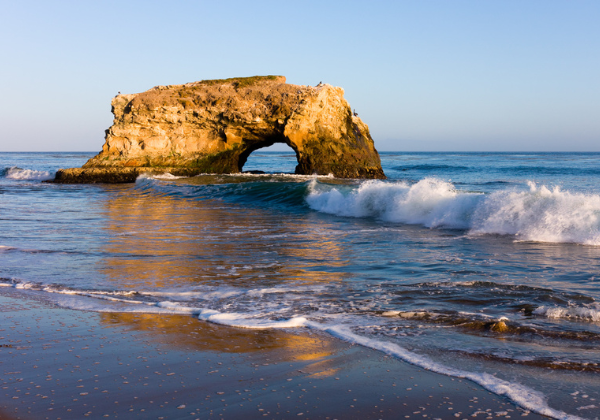 A Visitor s Guide to Natural Bridges State Beach Beachnest