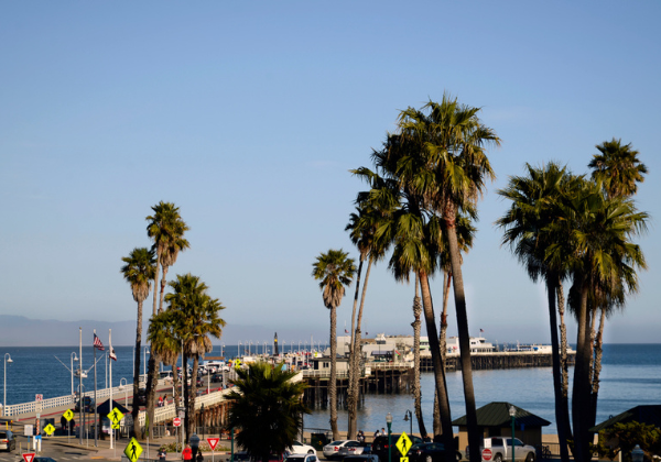 A First Timer s Guide to the Santa Cruz Wharf Beachnest Vacation