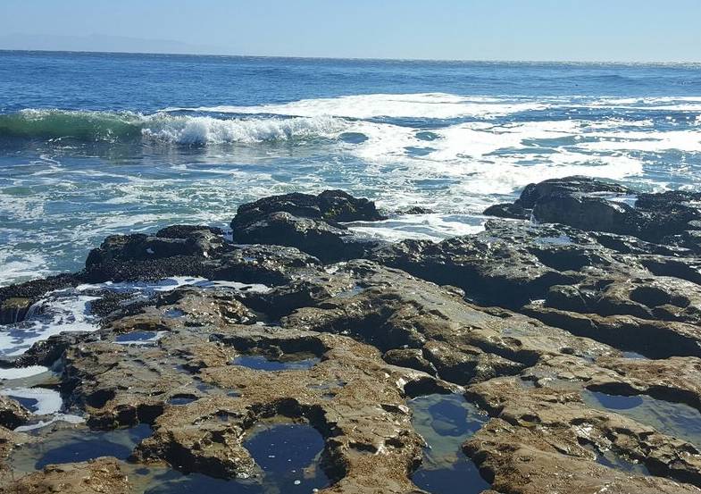 A Visitor s Guide to Natural Bridges State Beach Beachnest