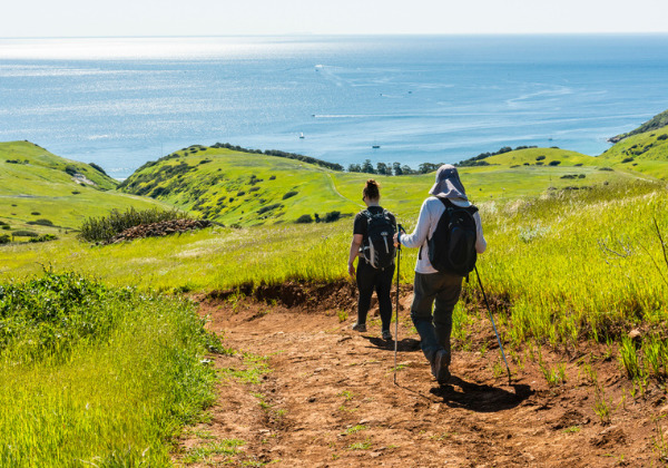 The Absolute Best Time to Visit Santa Cruz - Beachnest Vacation